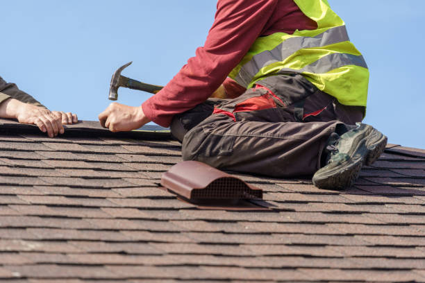 Best Roof Maintenance Services  in Oquawka, IL