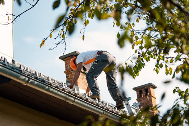 Best Residential Roofing Contractor  in Oquawka, IL