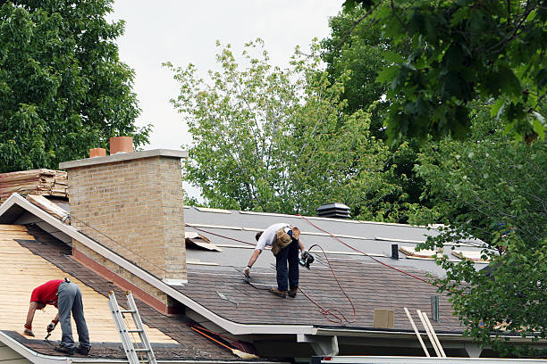 Best Emergency Roof Repair  in Oquawka, IL