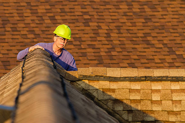 Best New Roof Installation  in Oquawka, IL