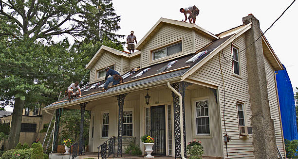 Best Roof Gutter Cleaning  in Oquawka, IL