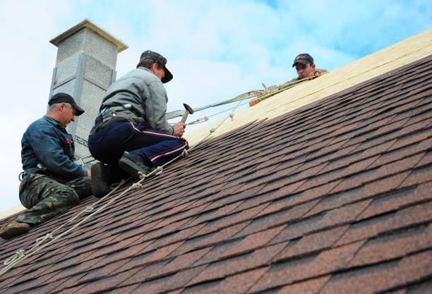 Best Roof Restoration Services  in Oquawka, IL