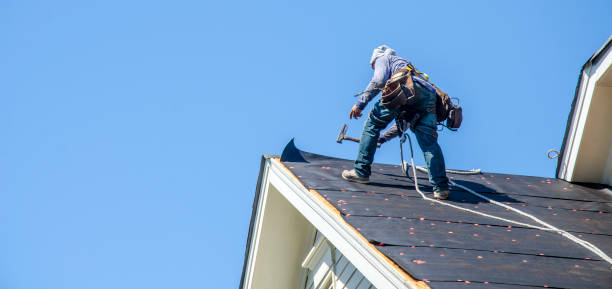 Best Roof Replacement Cost  in Oquawka, IL