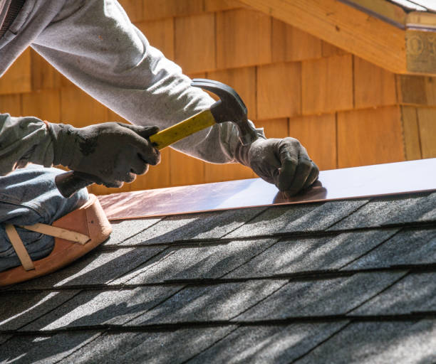 Best Local Roofing Companies  in Oquawka, IL